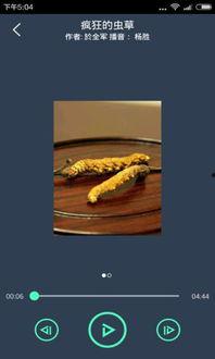 蝌蚪青草手机在线视频